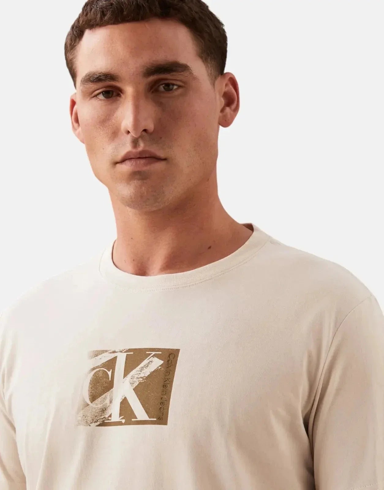 Calvin Klein Small CK Box Beige T-Shirt